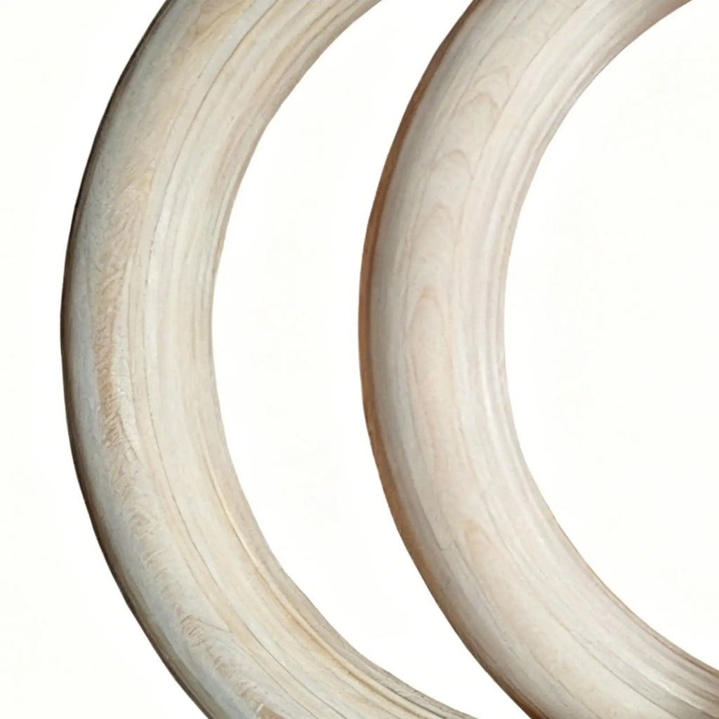 Gymnastics Training Rings