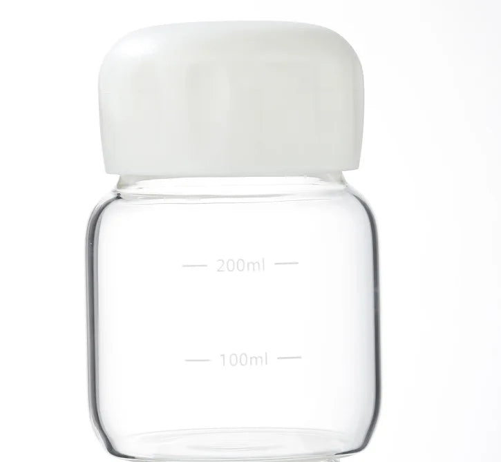 Mini Glass Water Bottle