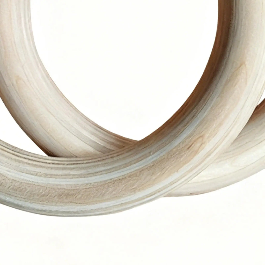 Gymnastics Training Rings
