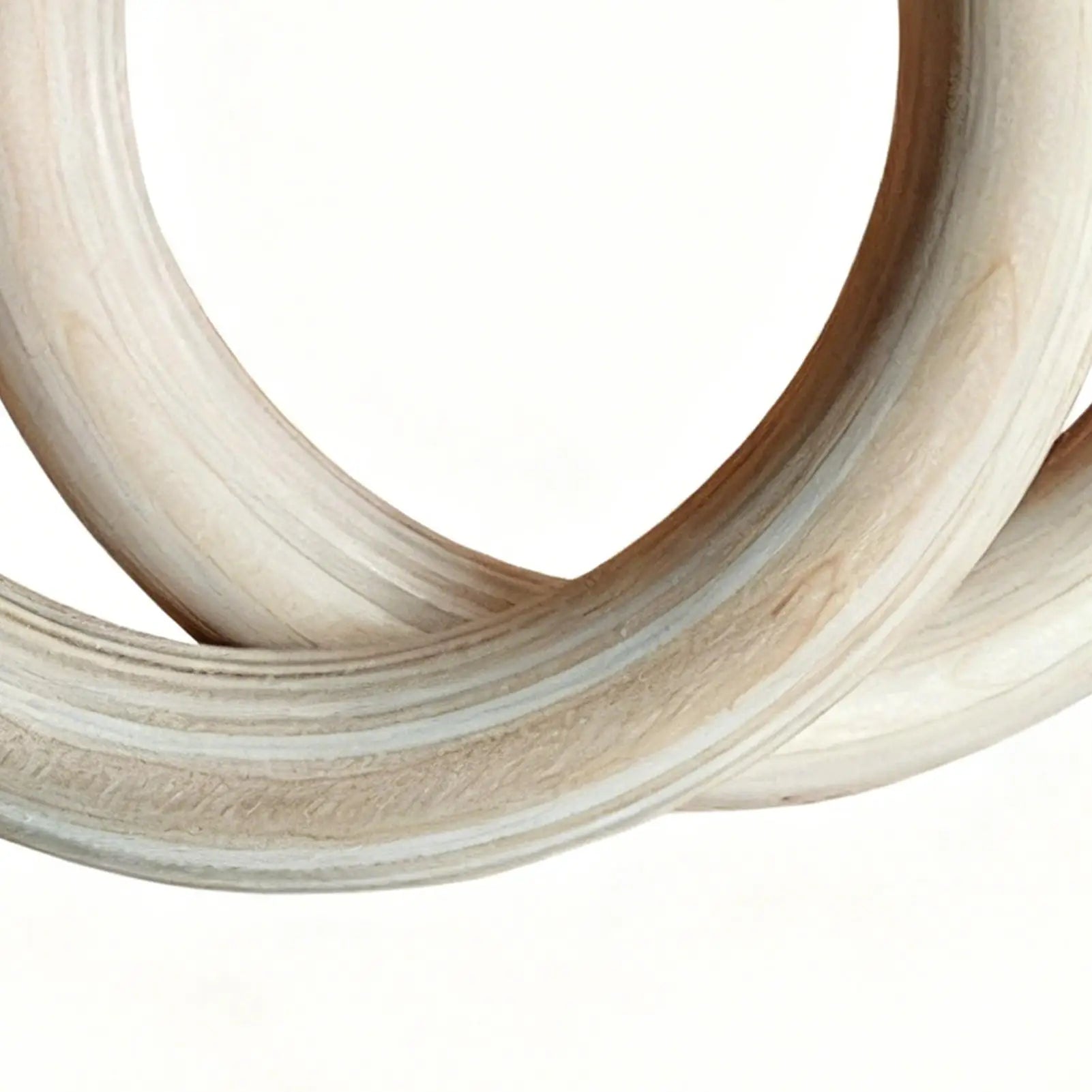Gymnastics Training Rings